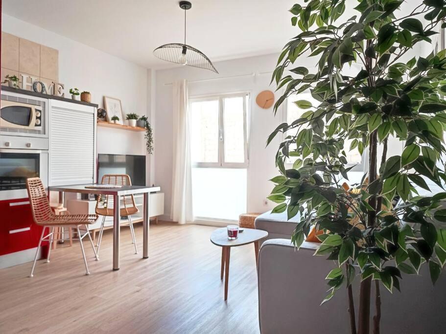 Vacational Dreams Apartment Santa Cruz de Tenerife Bagian luar foto